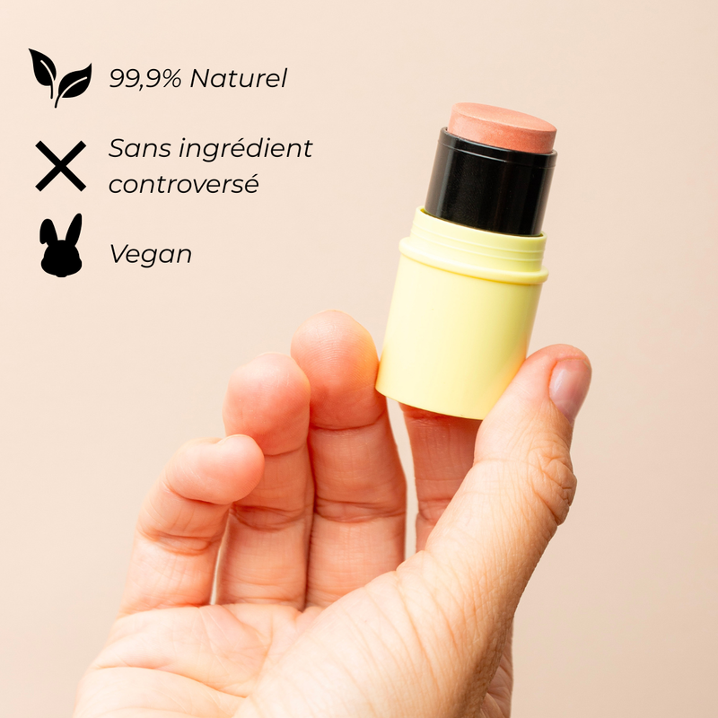 Pomponne Fantastick Highlighter or rose composition