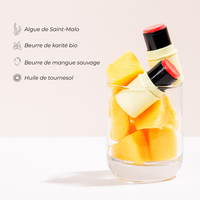 Pomponne fantastick baume et blush orange ingredients